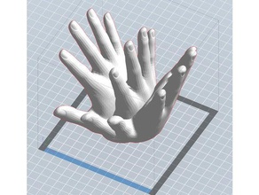 les mains toutes vos bagues accessoires 3d print model - Mito3D