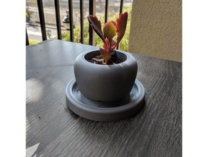 simple succulent pot drain outdoor garden planter pottery succulents 3d print model - Mito3D