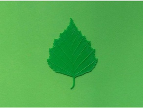 Birken-Baum-Blatt Biologie blender cura grün Natur real realistisch sind renkforce Vene Venen 3d print model - Mito3D