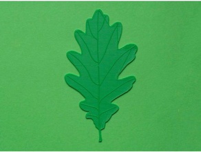 oak tree leaf biology blender cura green nature real realistic renkforce rf100 veins 3d print model - Mito3D