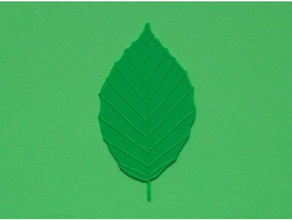 beech tree leaf biology blender cura green nature real realistic renkforce veins 3d print model - Mito3D
