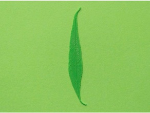 willow tree leaf biology blender cura green nature real renkforce veins 3d print model - Mito3D
