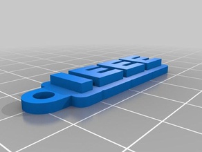 ieee keychains customized 3d print model - Mito3D