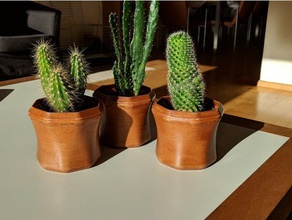 simple maceta decoración cactus en los plantadores de la olla 3d print model - Mito3D