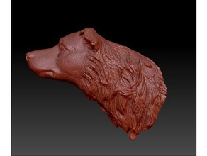 border collie varreduras réplicas do busto cão cabeça 3d print model - Mito3D