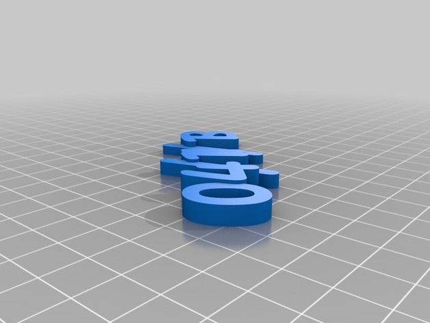 41118 wo ring organization customized 3D print model - Mito3D