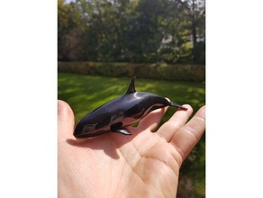 orca animais 3d print model - Mito3D