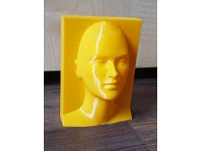 head art 3d print model - Mito3D