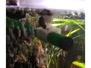 ventosa con clip eheim filtro spray bar gli animali domestici l'acquario la bombola ricambio acquario 3d print model - Mito3D