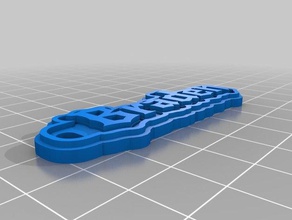 braden tag keychains customized 3d print model - Mito3D