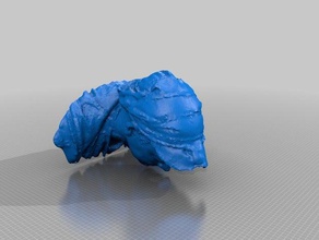 myhead scans replicas 3d print model - Mito3D
