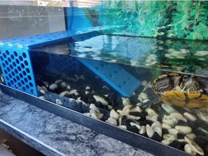 turtle dock pets aquarium