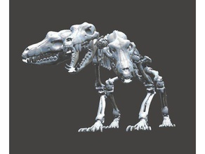 cerberus biology balljoint bjd bone cool dog halloween horror movable mystic skeletal skeleton undead 3d print model - Mito3D