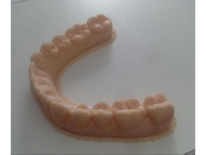 dentadura inferior biología paso de los dientes la mandíbula médica ortodoncia 3d print model - Mito3D