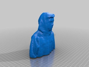 hoodie do busto 3d impressão criador rosto o kinect a mim mesmo impressora scan 3d print model - Mito3D