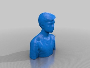t-shirt buste besoins de redimensionnement 3d l'impression 360 créateur visage moi-même l'imprimante la numérisation xbox 3d print model - Mito3D