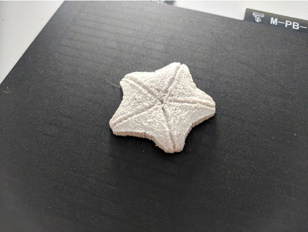 rio derwent seastar animais extintos marinho investigação 3D print model - Mito3D