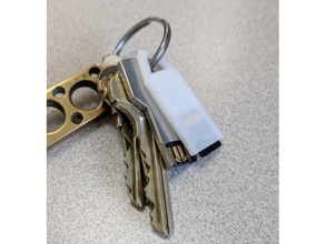Schlüssel-großen microsd-Karten-Halter Schlüsselanhänger micro-sd-card-Halter 3d print model - Mito3D
