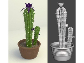 cactus props 3d print model - Mito3D