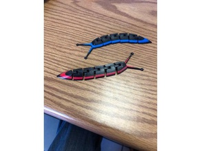 articulado slug imán de 3 colores a los animales caracol 3d print model - Mito3D