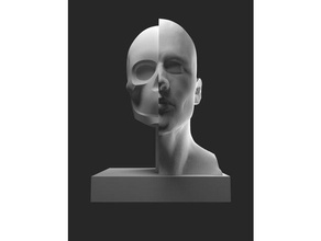 skullpt 3d drucken die Armatur Ton Skulptur 3d print model - Mito3D