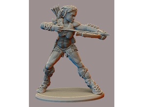 female barbarian +3 chauvinistic armor toys games dungeons dragons fighter frostgrave gloomhaven rpg tribal wargaming warhammer wild wildlife 3d print model - Mito3D