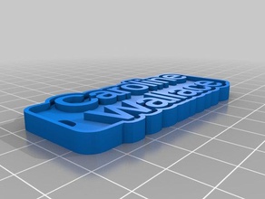 caroline wallace etiketi mavi pembe Anahtarlık paralar rozetleri özelleştirilmiş 3d print model - Mito3D