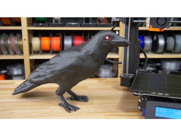 halloween crow led yeux animaux d'oiseaux décoration prop 3D print model - Mito3D