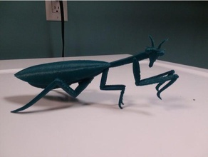 prey mantis animals 3d print model - Mito3D