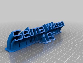 selma abla elleby wilson ofis özelleştirilmiş 3d print model - Mito3D