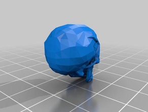 human skull people 3d print model - Mito3D