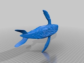 la ballena azul a los animales bluewhale maya modelo modelos océano 3d print model - Mito3D