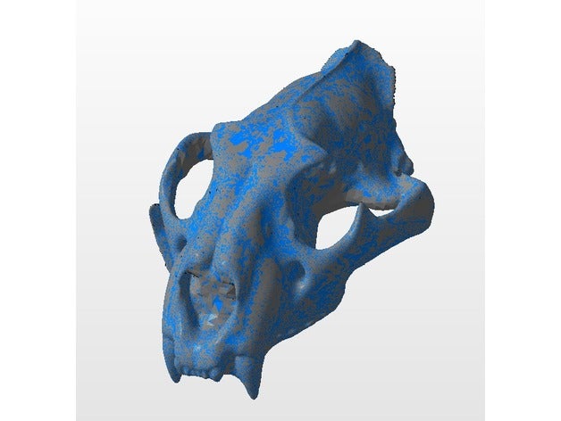 panther skull 3d scan animals bone cat 3D print model - Mito3D