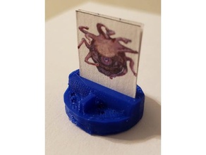 d&d kağıt token sahibi oyuncak oyun aksesuarlar 3d print model - Mito3D