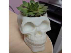 cráneo maceta al aire libre jardín 3d print model - Mito3D