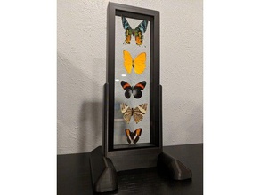 butterfly frame holder decor 3d print model - Mito3D