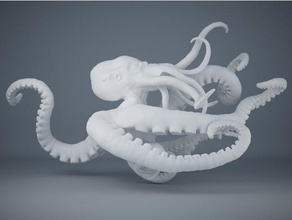 le poulpe animaux biologique squid 3d print model - Mito3D