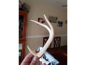 antlers remix scans replicas animal horns buck deer 3d print model - Mito3D