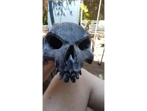 sea thieves bounty skull props 3d print model - Mito3D