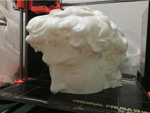 david statue art 3d printer printing rhino 3d print model - Mito3D