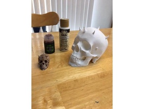 darth maul cráneo esculturas 3d print model - Mito3D