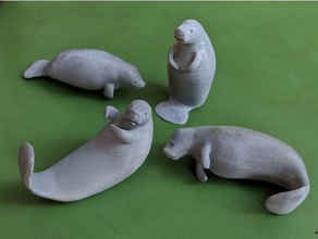 molly manatí a los animales acuático la natación 3d print model - Mito3D