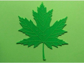 maple tree leaf biology blender cura green nature renkforce veins 3d print model - Mito3D
