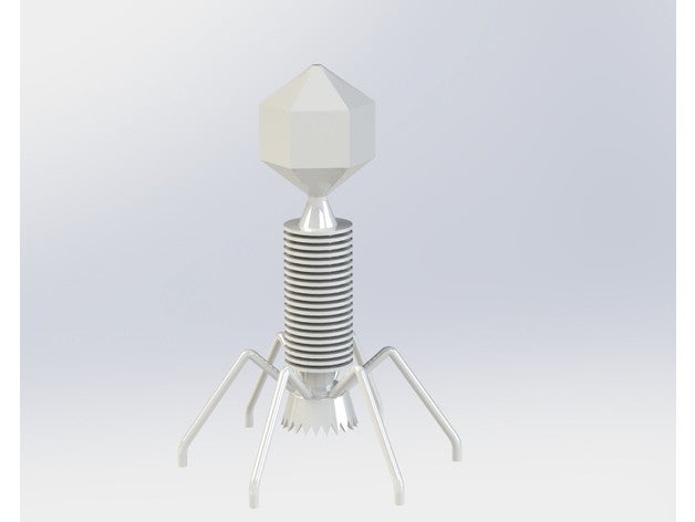 t4 bacteriophage model cmu 3d printing 3D print model - Mito3D