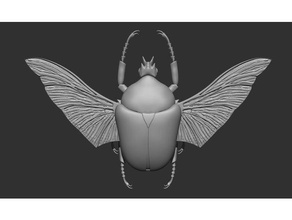 goliathus goliatus animaux beetle bug enthomology les insectes de modèle la nature scarab science 3d print model - Mito3D