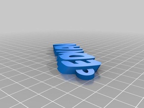my customized iamburnysedwanname key tag organization 3d print model - Mito3D
