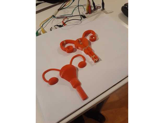sistema reproductivo femenino biología endometrio las trompas de falopio humanos óvulo 3D print model - Mito3D
