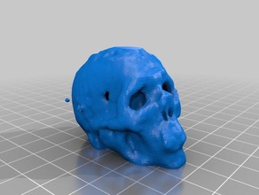 my scan 5 scans replicas makerbotdigitizer 3d print model - Mito3D