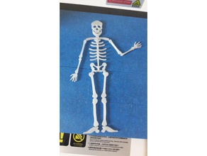 skeleton flat creatures halloween 3d print model - Mito3D