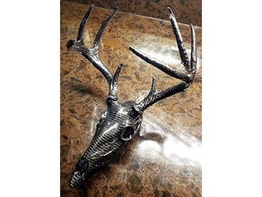 whitetail deer skull 8 point animals 3d print model - Mito3D